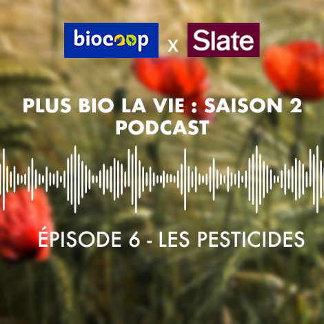 Podcast Plus bio la vie : les pesticides, ces intrus dans nos assiettes